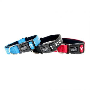 MVP Dog Collar Small